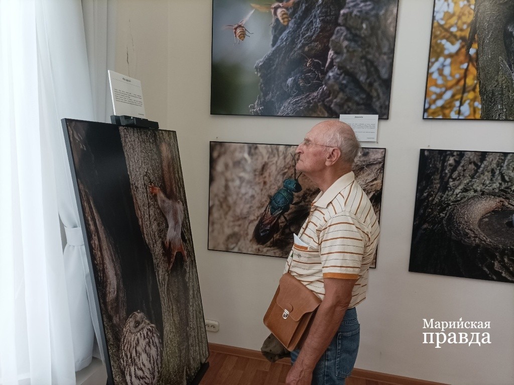 Посетители с большим интересом изучают работы фотохудожников..jpg