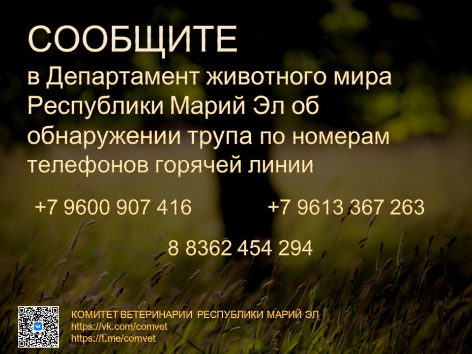 ачс4.jpg ачс4.jpg