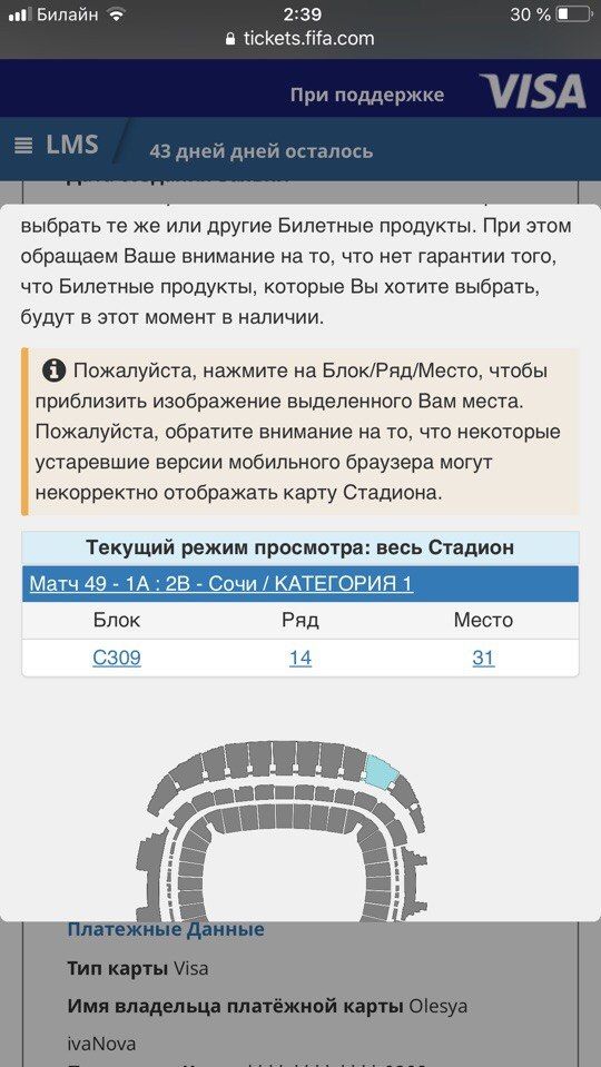 Билет на матч ЧМ-2018.jpg