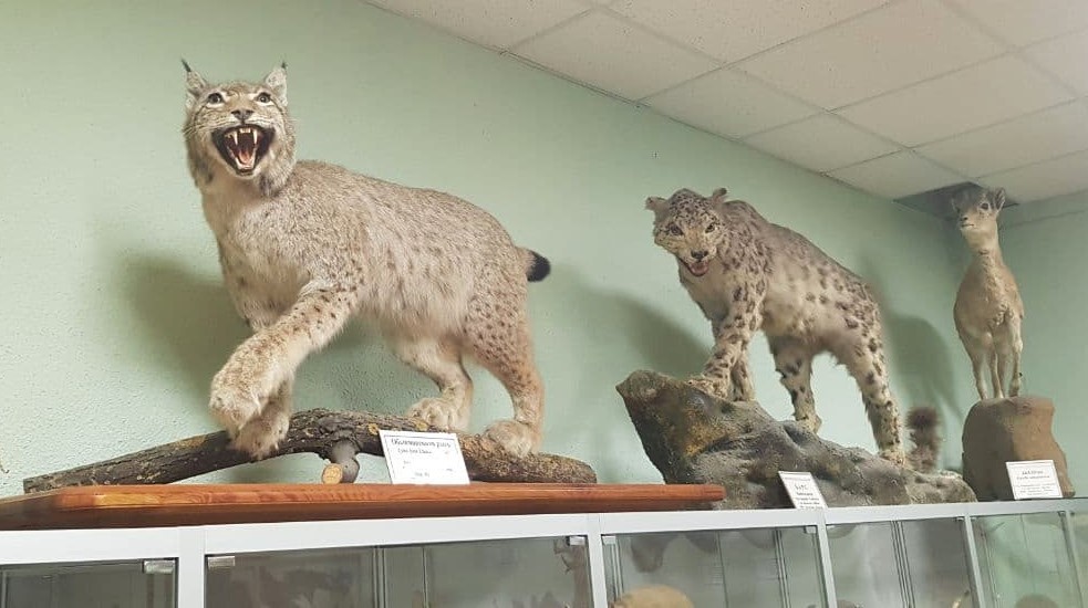 photo_2021-12-08_12-47-05 (5).jpg