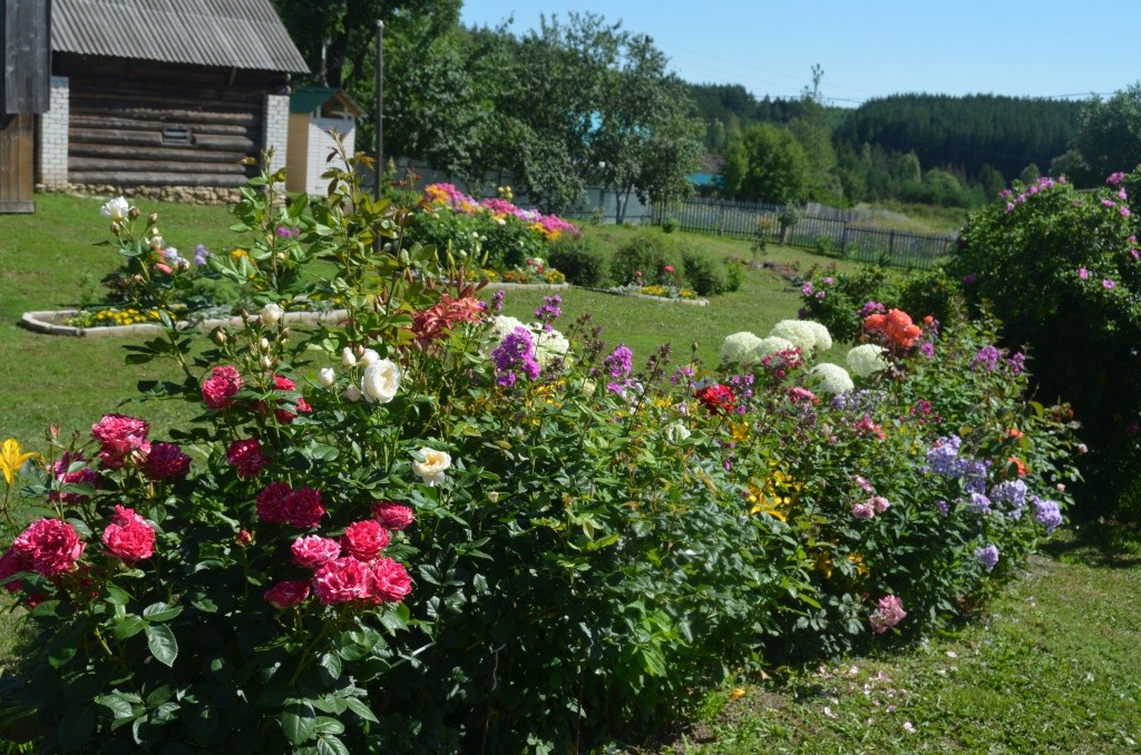 Цветы буквально взяли усадьбу в плен. Цветы буквально взяли усадьбу в плен.jpg