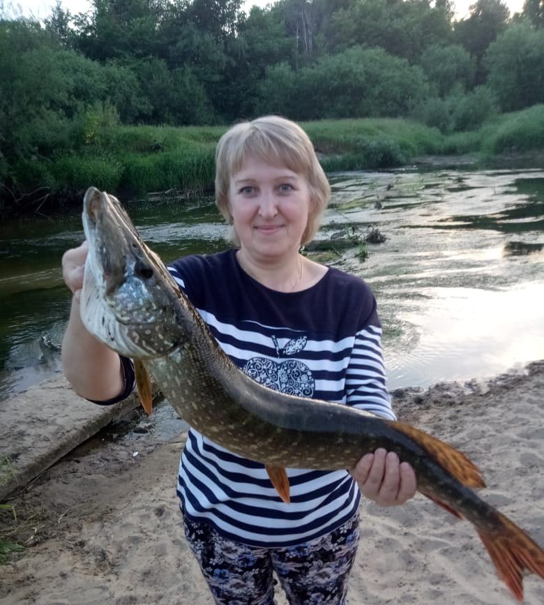 Эту щуку муж поймал, но с моей помощью.