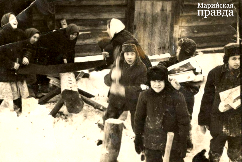 Заготовка дров для опатливания помещений 1957 год.png