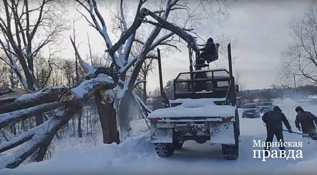 Заодно убрали и огромное дерево, которое решило свалиться на проезжую часть..jpg