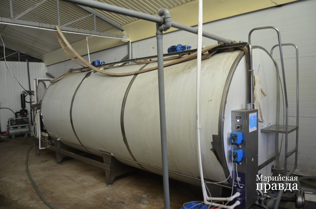 Все надоенное молоко сливается вот в этот огромный холодильник..jpg