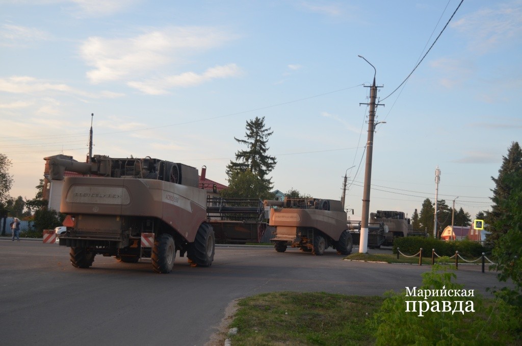Теперь великанов ждет отдых в технопарке..jpg