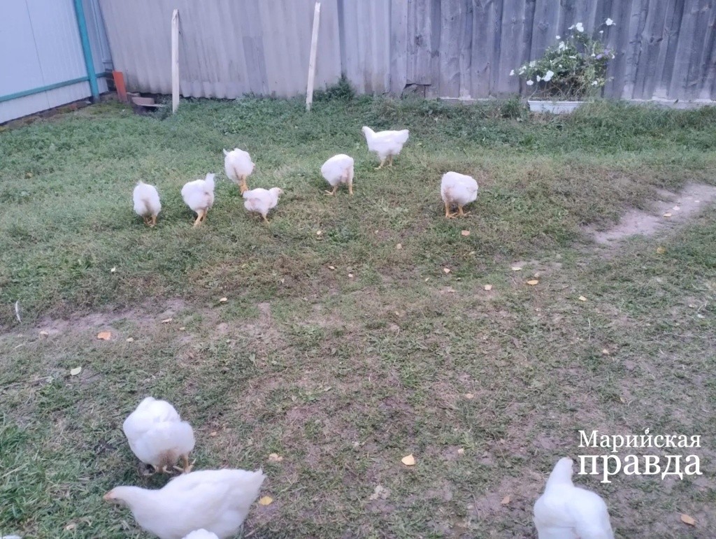 Мы уже большие. Мы уже большие 1.jpg