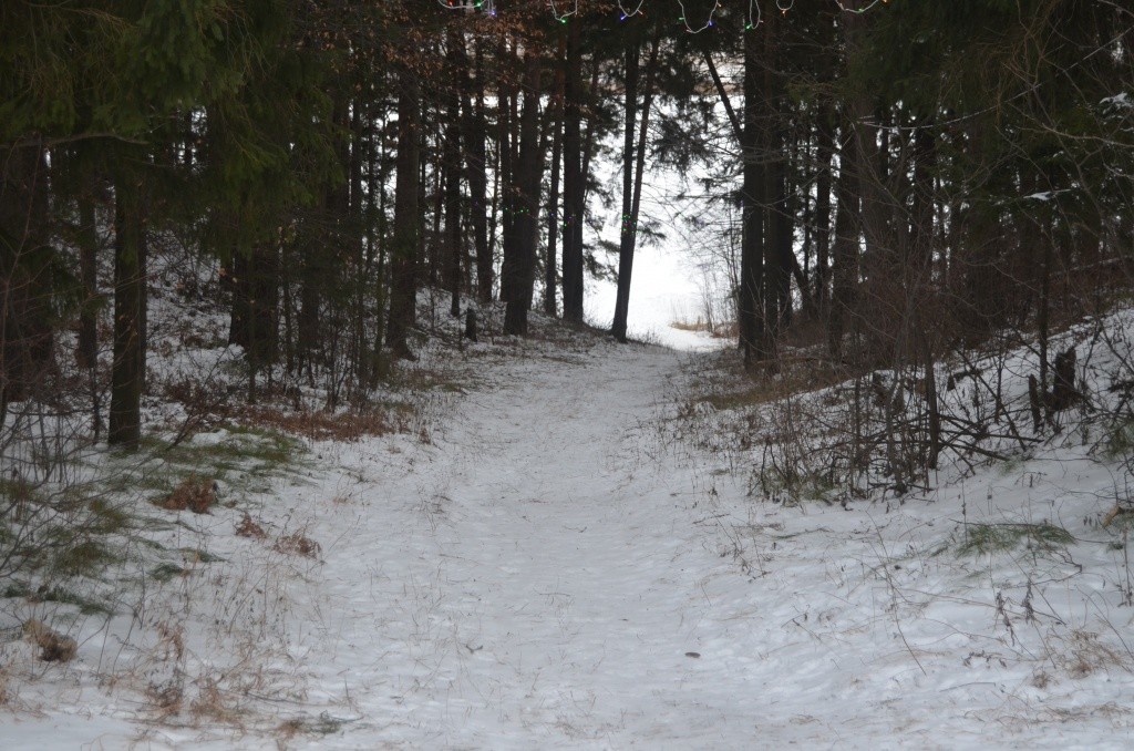 После оттепелей снега тут осталось немного.jpg