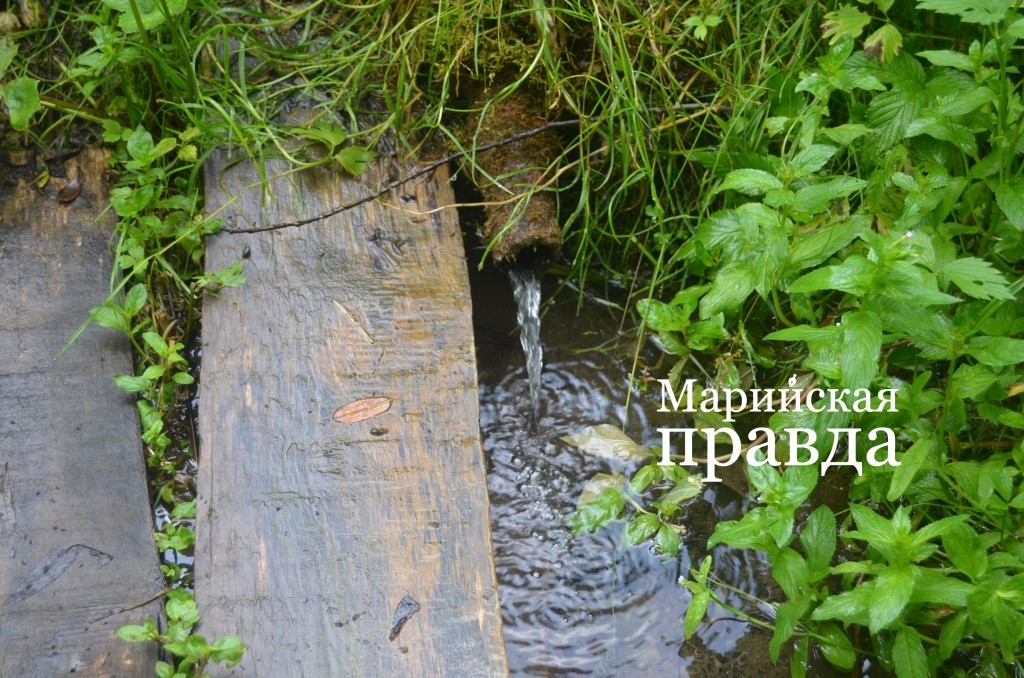 За чистой водой для еды старушка ходит на ключ, который находится в овраге 1.jpg