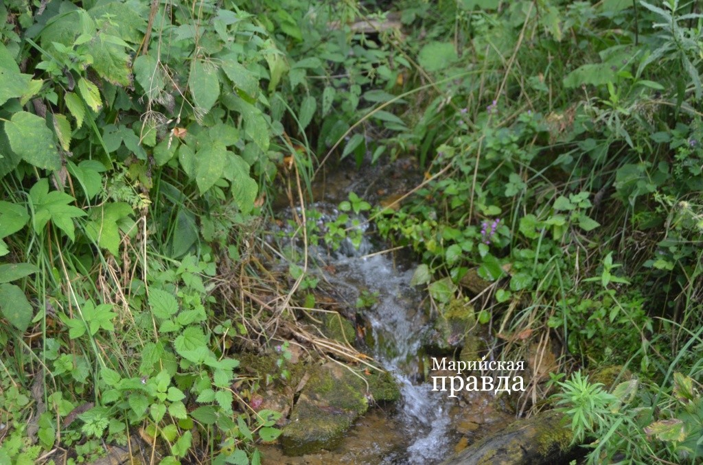 Исток Лажа находится рядом с Ляжвершиной..jpg