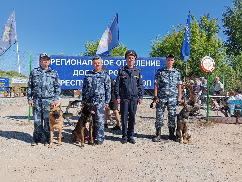 День Фронтовой собаки.