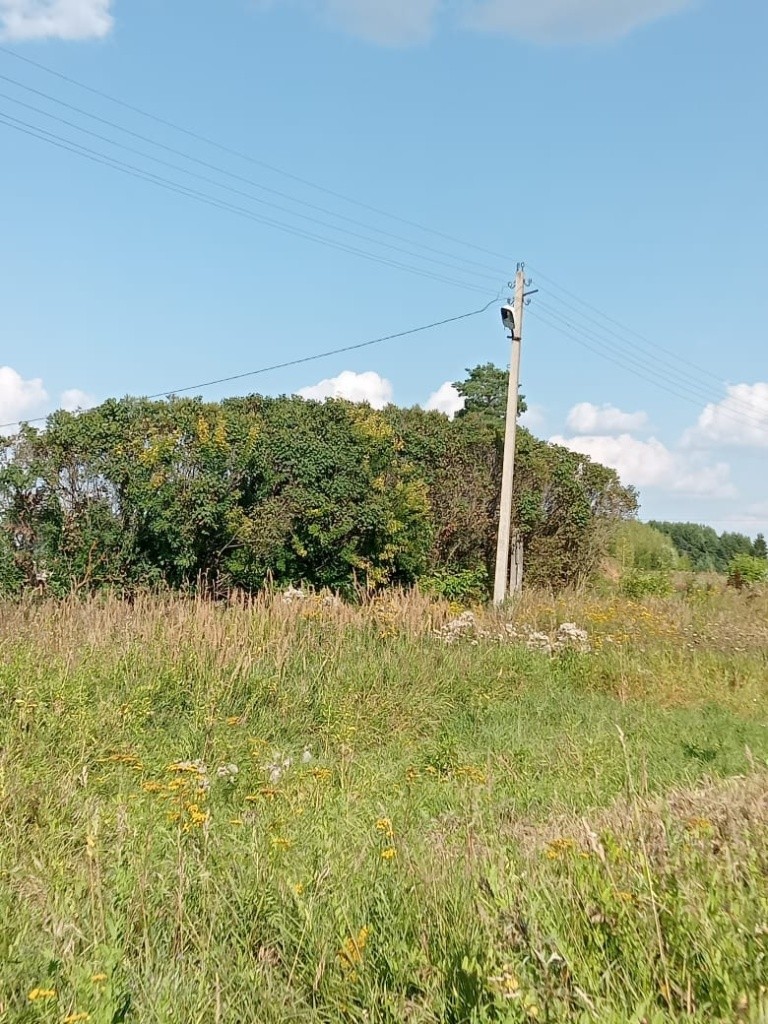 Освещение д. Елембаево (2).jpg