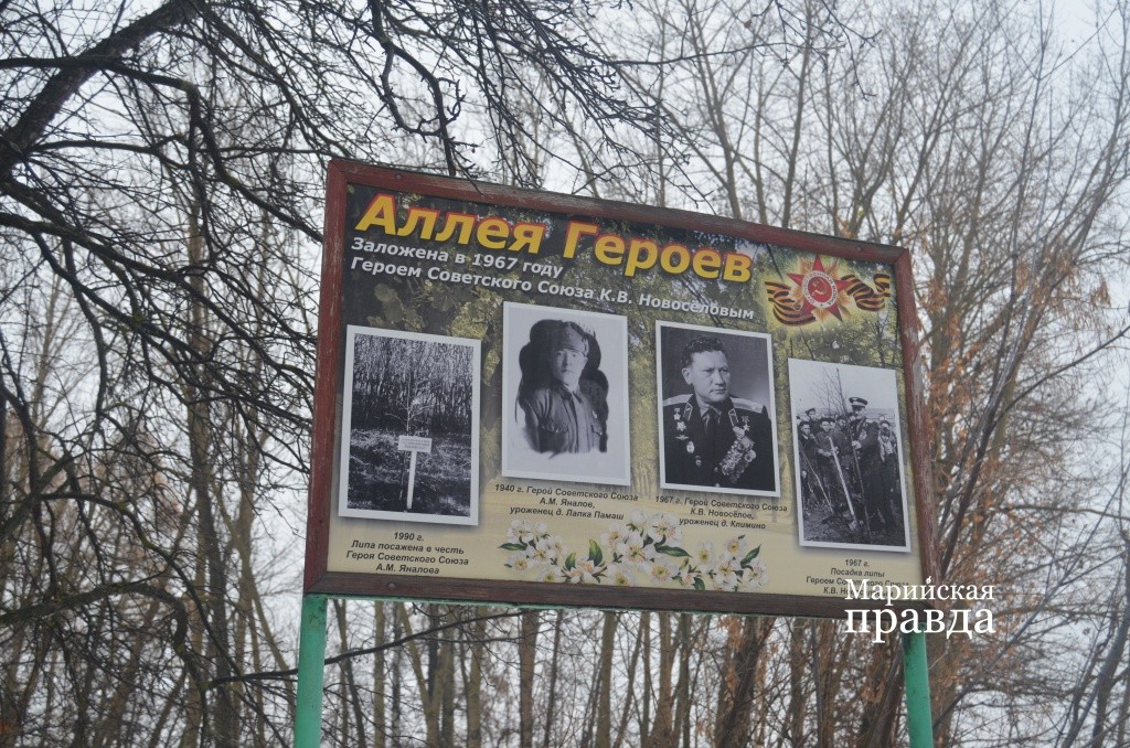 На аллее Героев в Сернуре есть липа, посаженная в1990 году в честь земляка, Героя Советского Союза Андрея Яналова1.jpg