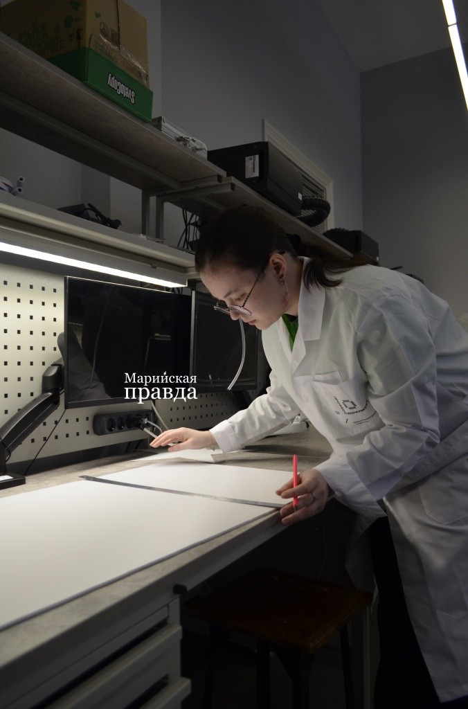 Профессионалы 4