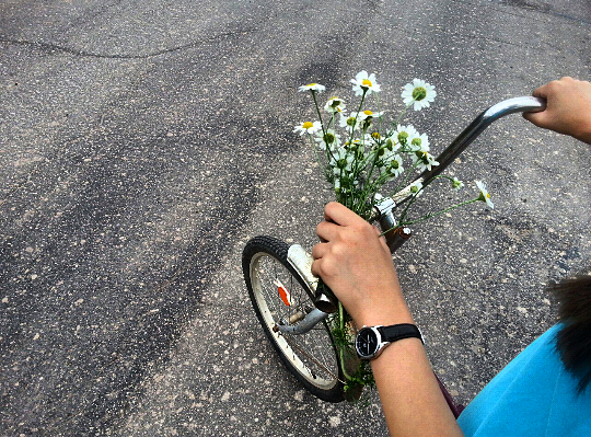 15:30 Мы нашли ромашки)