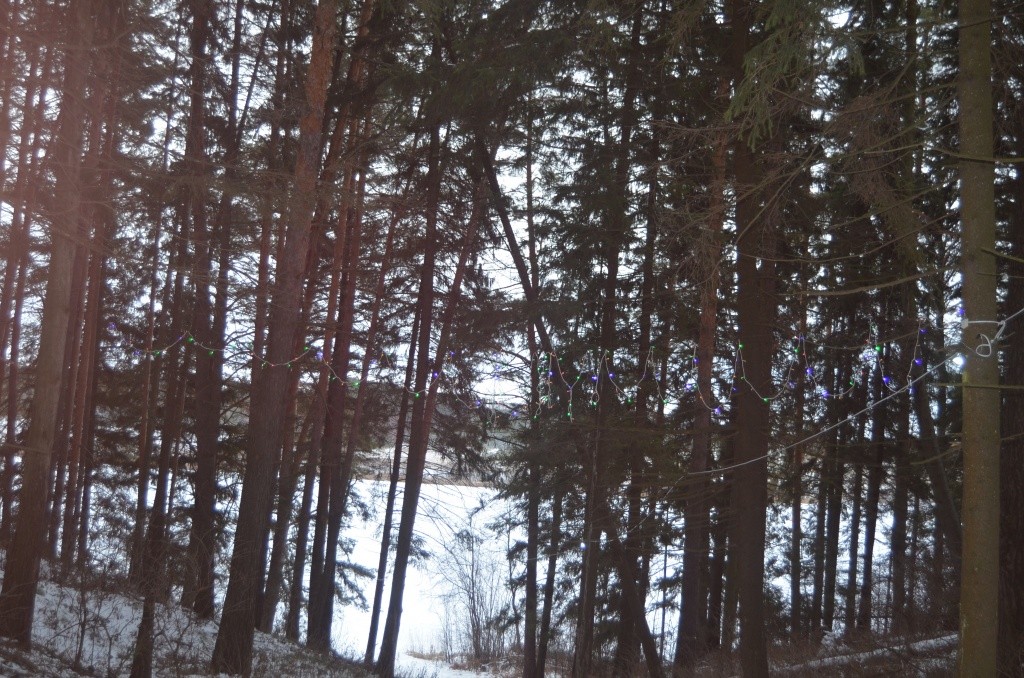 Местный зимний диснейленд полностью электрофицирован.jpg