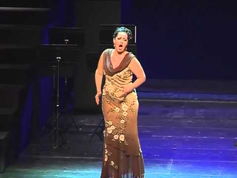 Концертная версии партии Аиды в исполнении Марины Нерабеевой. Фото предоставлено театром Новая Опера.jpg