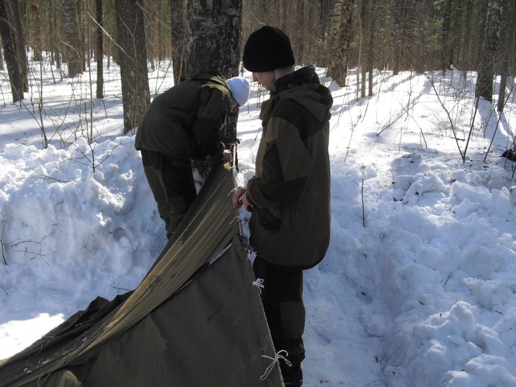 Выход в лес