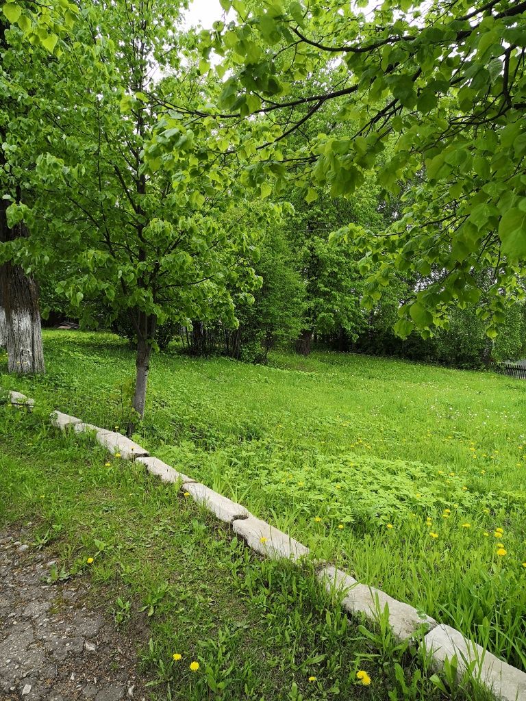 С большой долей вероятности можно предположить, что первый праздник Пеледыш пайрем прошел вот в этом сквере.jpg