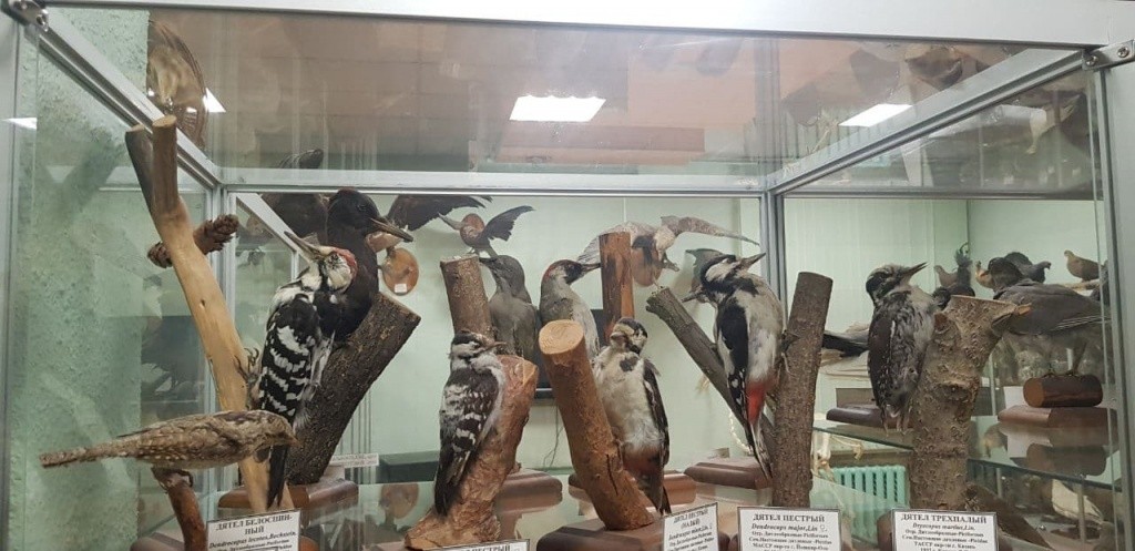 photo_2021-12-08_12-47-01 (2).jpg