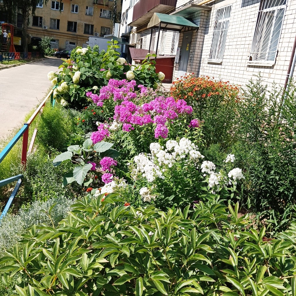 Цветник.jpg