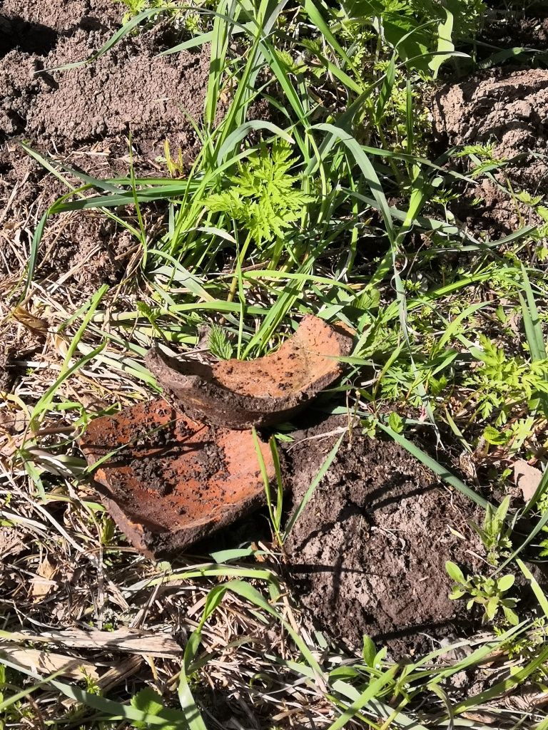 А это фрагменты горшка, в котором, возможно, хранился клад.jpg