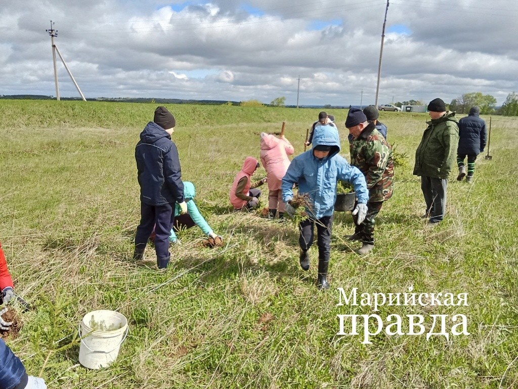 В пасадке Сада памяти участвовало много детей. В пасадке Сада памяти участвовало много детей..jpg