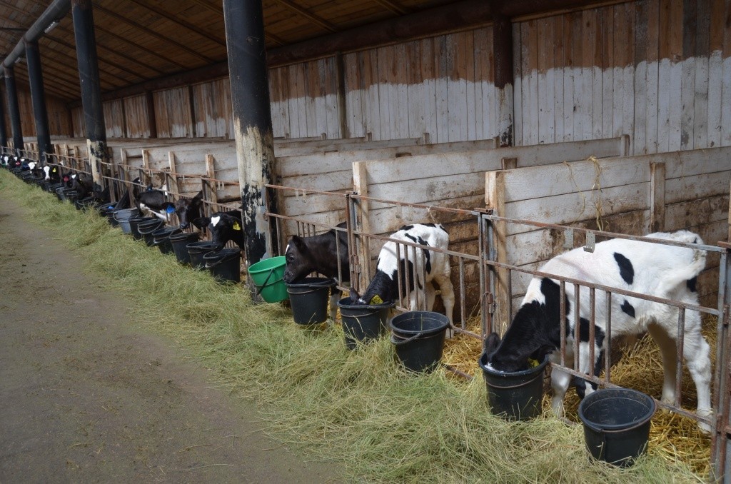 Главный показатель работы техника-осеменатора это получение приплода. Главный показатель работы техника-осеменатора это получение приплода.jpg