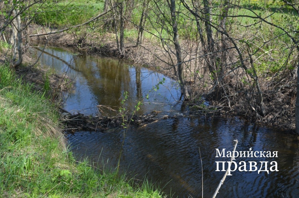 Еще одна плотинка. Нарастить их бобры не успевают из-за охотников.1.jpg