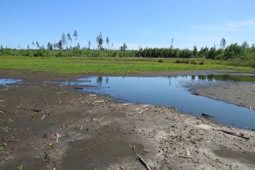 Моркинский район.jpg