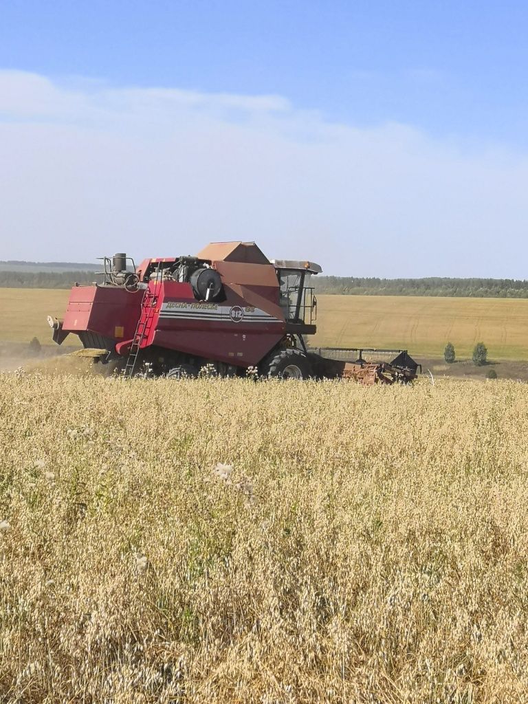 В хозяйстве три зерноуборочных комбайна, два из них Полесье. В хозяйстве три зерноуборочных комбайна, два из них Полесье.jpg