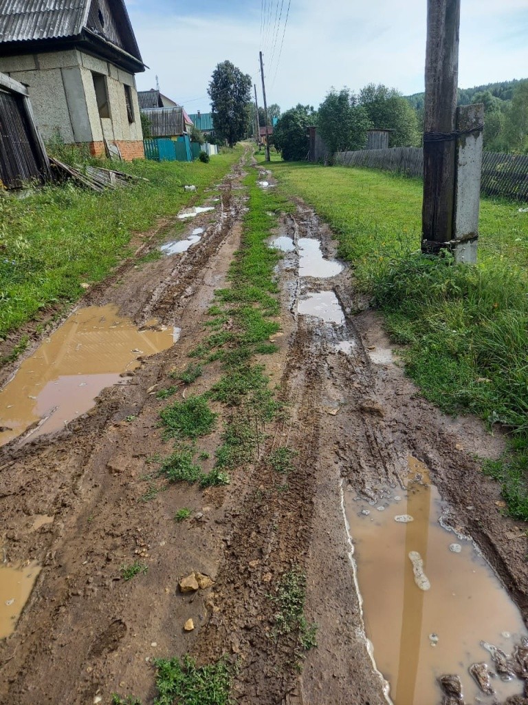 корно виз.jpg