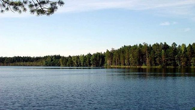 ФОТо: http://plus7-db.com/item/ozero-karas-mariy-el