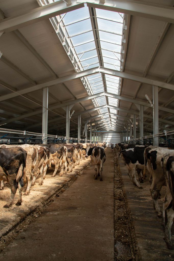 Фото Валерия Кузьминых.