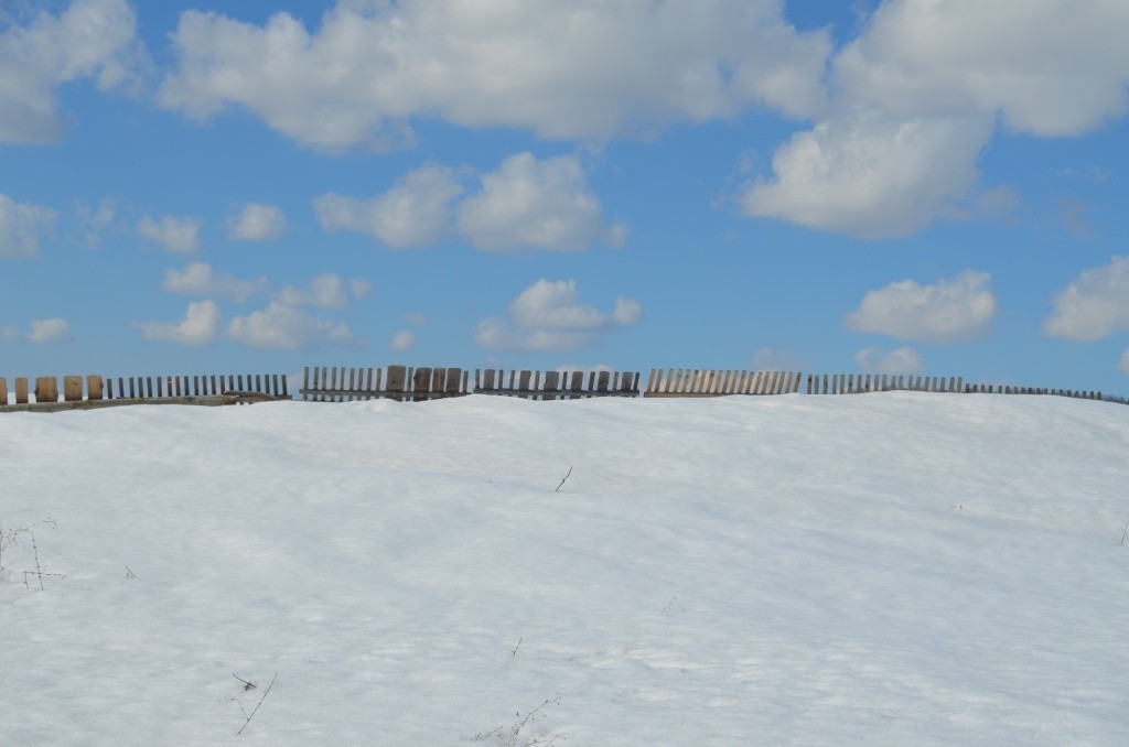Чтобы дорогу в овраге не переметало, Казаков установил здесь щиты снегозадержания.JPG
