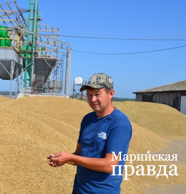 Главный агроном Владимир Медведев будем с хлебом..jpg