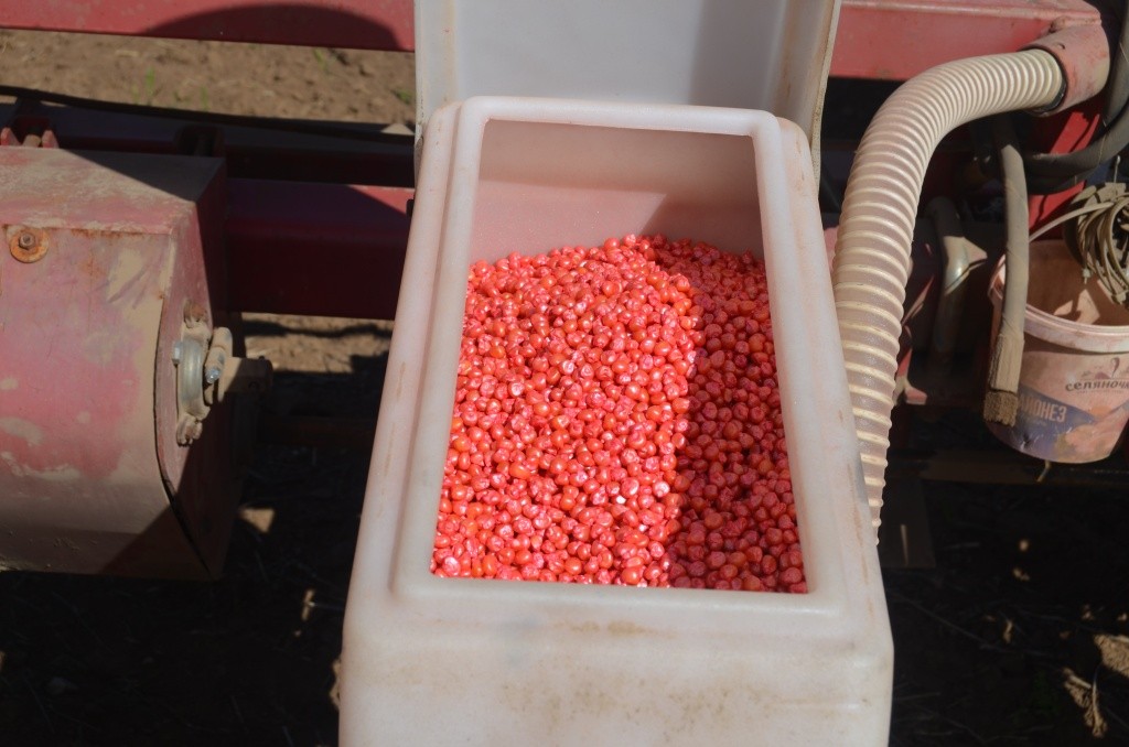 Вот такой шикарный цвет приобретает химобработки.jpg