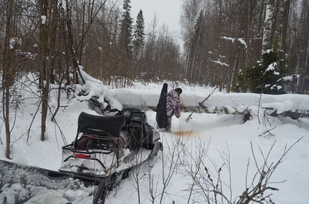 Чтобы проехать,пришлось перепиливать упавшие деревья.JPG