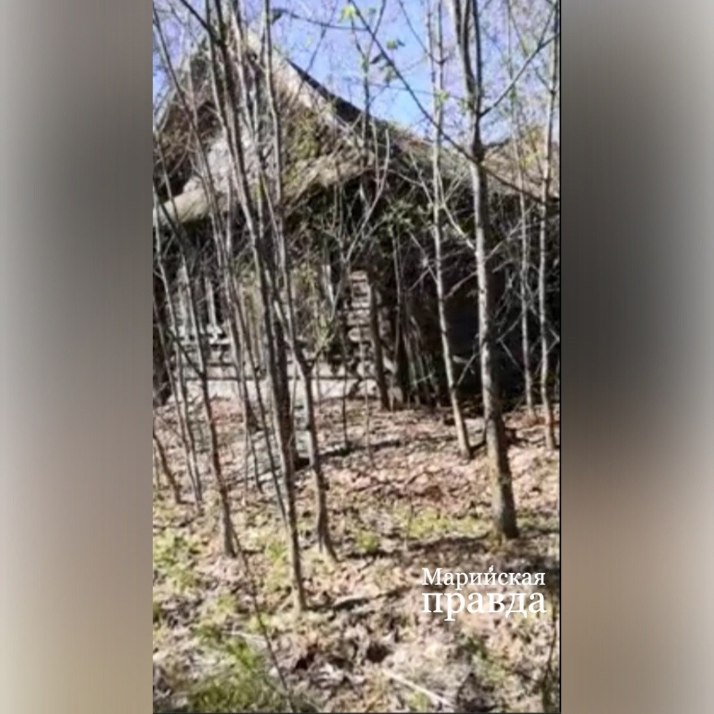 Территорию Торайбеляка уже затянуло лесом. Территорию Торайбеляка уже затянуло лесом..jpg