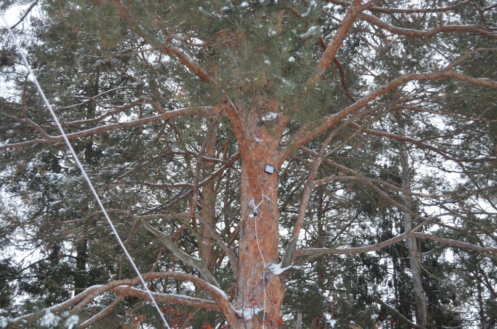 Народ собирается здесь по вечерам на призывное моргание стробоскопа.jpg