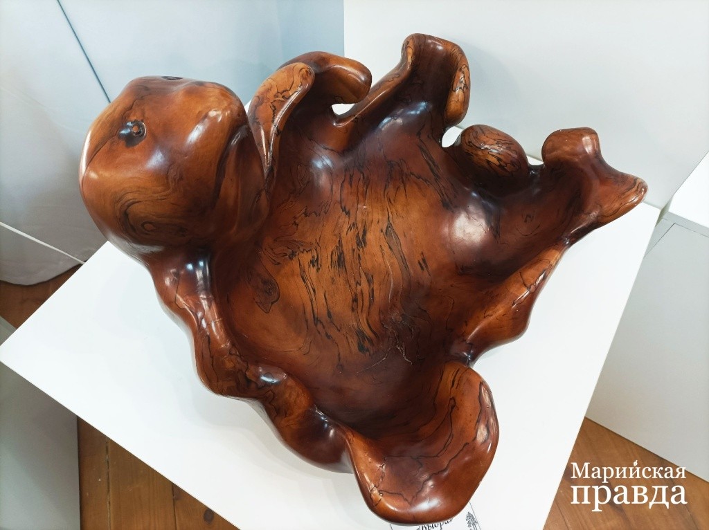 .jpg Это черепашка под названием Выдра покорила не одно сердце. Гладить ее по голове хочется часами. Фото Марины Оленевой Марийская правда.jpg