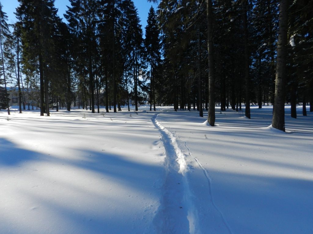 Поселок Советский 