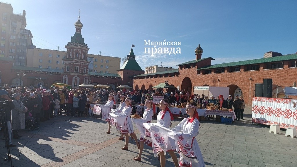 обзий фон.jpg