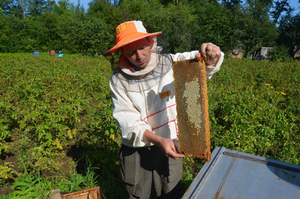 Вот она запечатанная рамка с медом.JPG