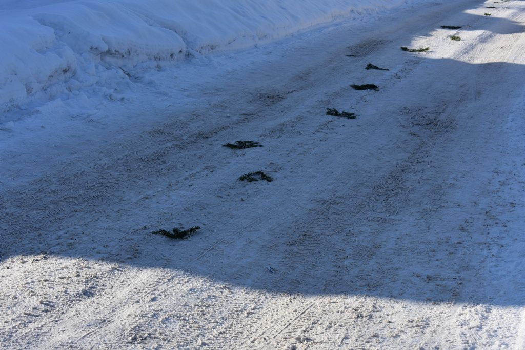 Яранск