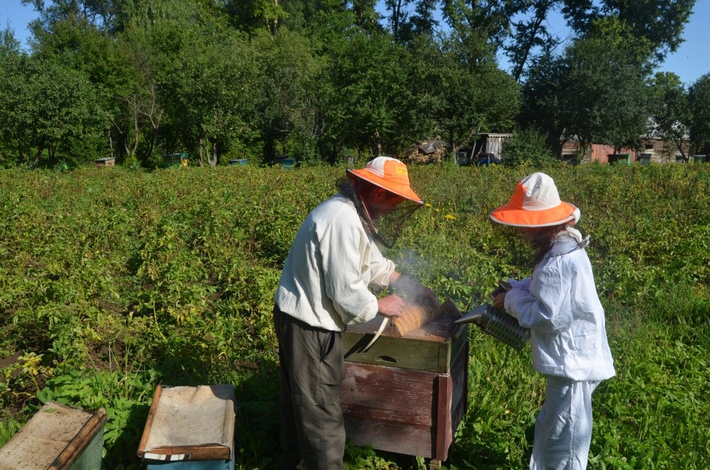 Пришло время раскулачивать пчелок.JPG