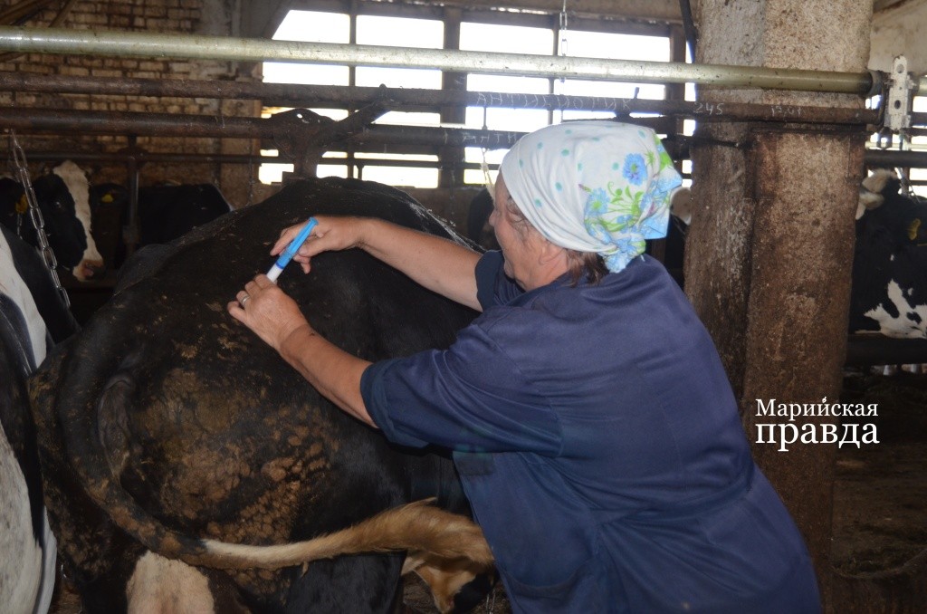 Укольчик от Галины Михайловны - совсем не больно. Укольчик от Галины Михайловны - совсем не больно..jpg