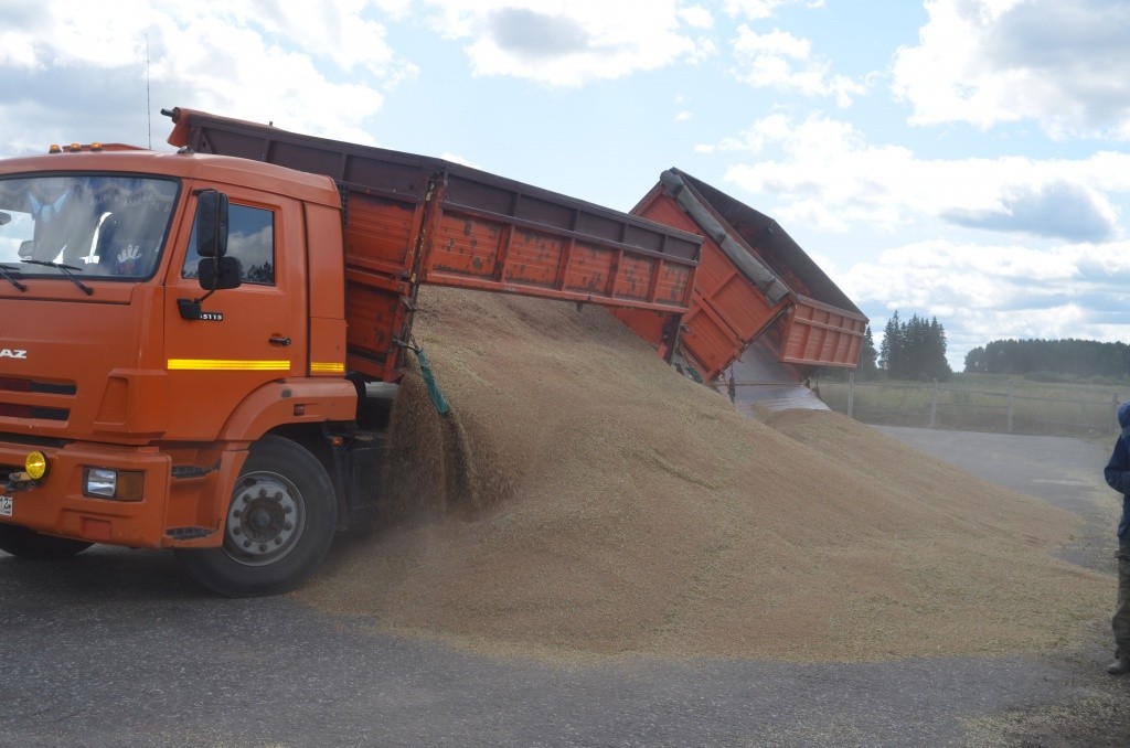 В этом году на подвозе зерна хозяйство впервые обошлось своим транспортом .JPG