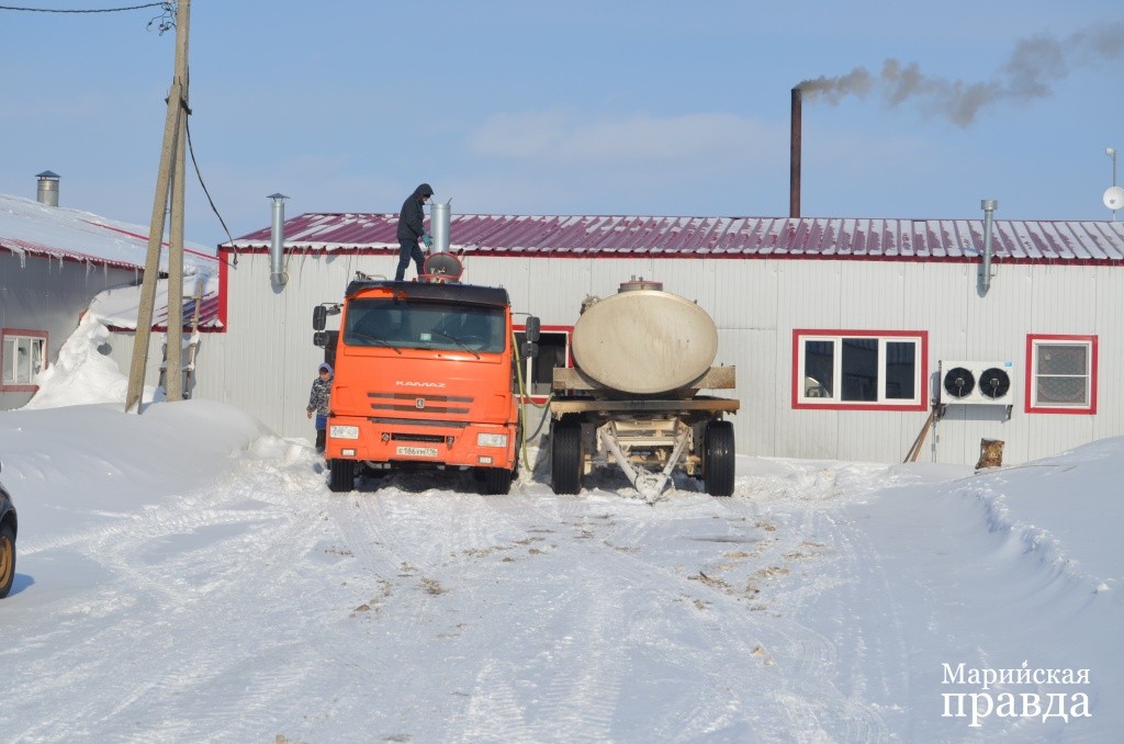 Чтобы вывезти все надоенное за день молоко, требуется огромный рефрижератор..jpg