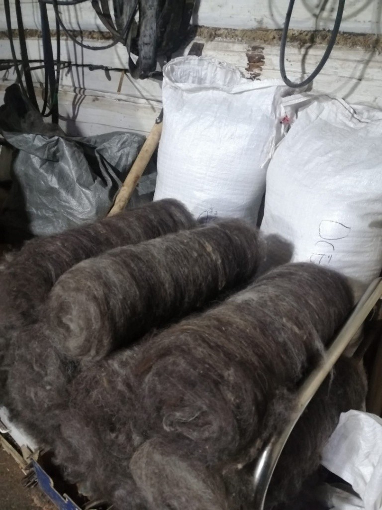 Вот и шерсть готова! Осталось только спрясть. (Фото предоставлено Зинаидой Медведчук). Вот и шерсть готова! Осталось только спрясть. (Фото предоставлено Зинаидой Медведчук).